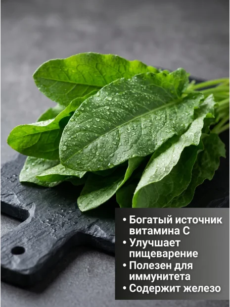 Щавель Крупнолистный семена 