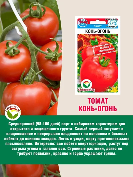 Томат Конь-огонь семена 