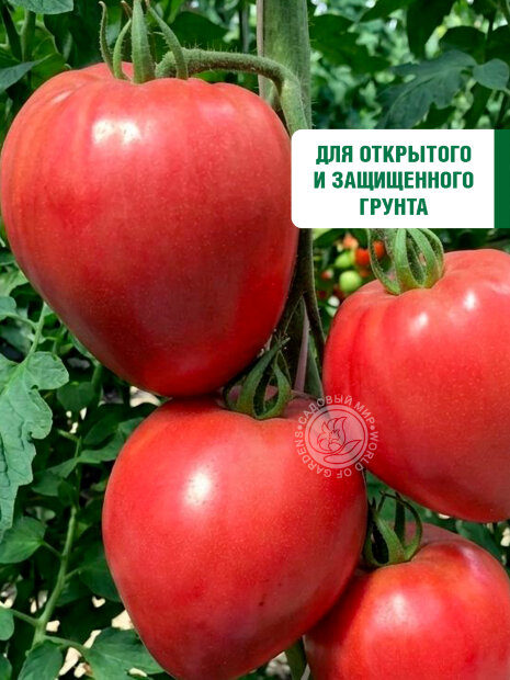 Томат Розовый Мёд семена 