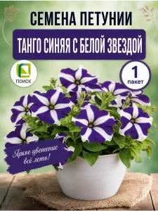 Петуния крупноцветковая Танго Синяя с белой звездой (ПРОФИ)