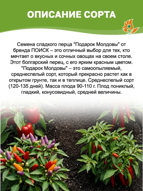 Перец сладкий Подарок Молдовы F1 семена 