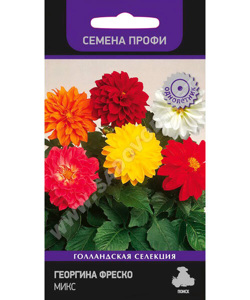 Георгина Фреско Микс