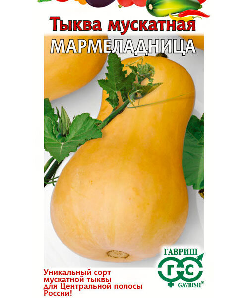 Тыква Мармеладница (мускатная) семена 