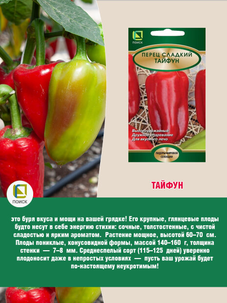 Перец сладкий Тайфун семена 